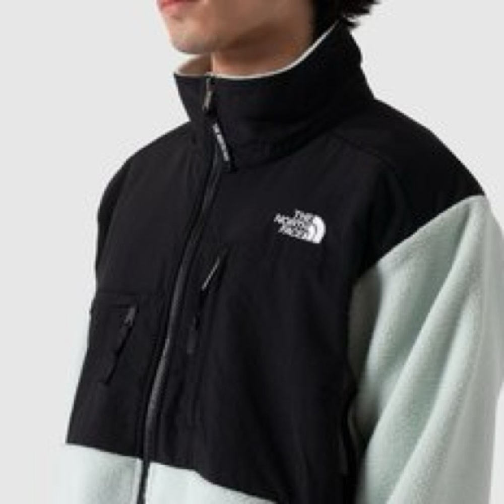 The North Face Mens 1995 Retro Green Mist Denali Jacket size large - Picture 10 of 12